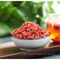 vente chaude goji baies plantes goji Berry